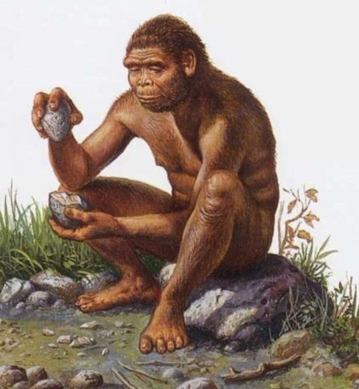 Зображення Homo sapiens, людина розумна