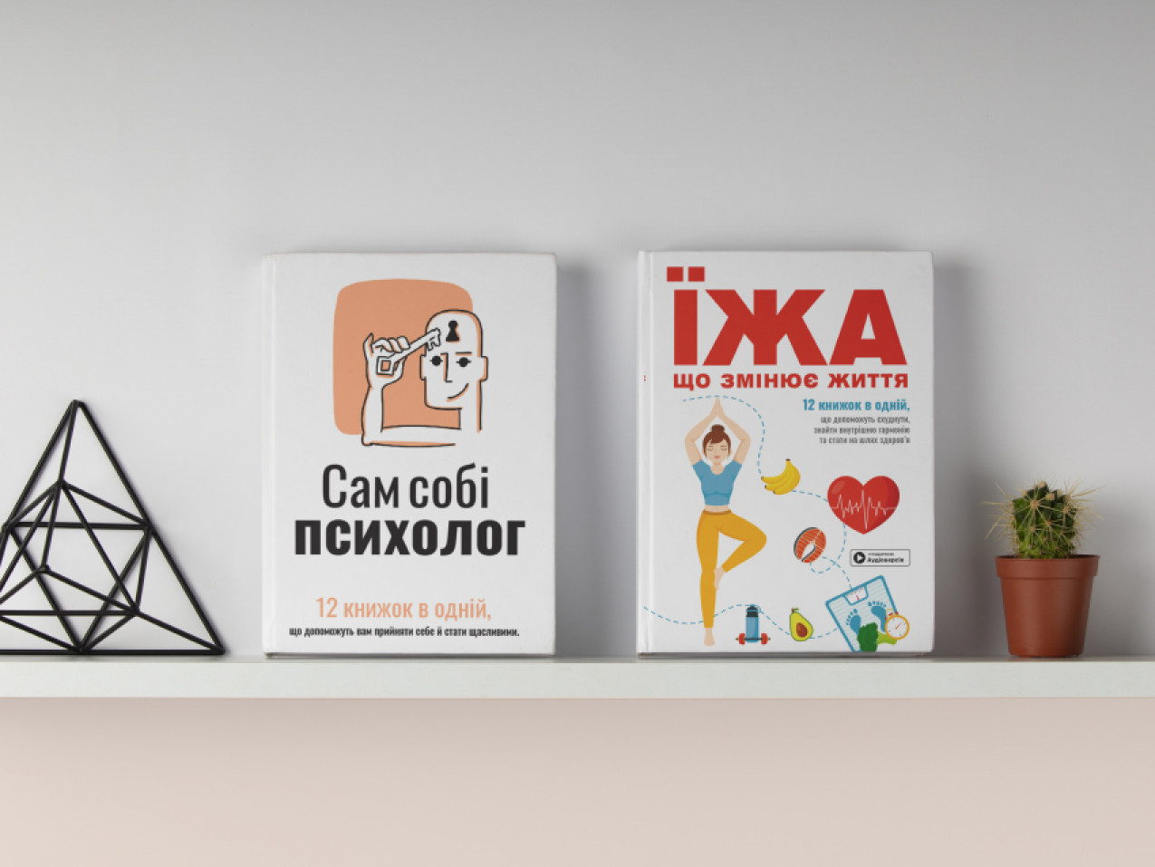 Дві книжки, що стоять на поличці